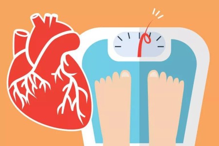 Excess Pounds and Heart Disease: How to Calculate Your Risk