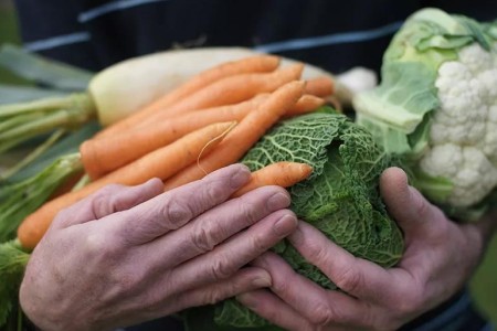 4 Good Habits for Healthy Vision