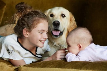 Can Having a Pet Help Prevent Allergies?