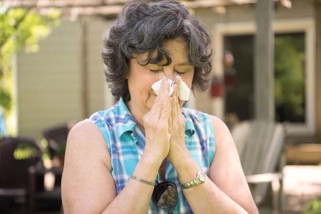 A Seasonal Allergy Survival Guide