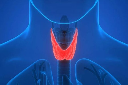 Underactive Thyroid: Is Yours Being Overtreated?