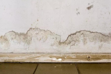 How to Clean Up Mold After a Flood