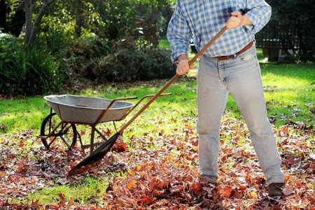 How Fall Yard Work Can Cause Heart Problems