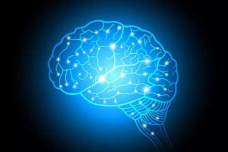 Amazing Facts You Didn’t Know About Your Brain