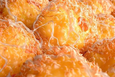Do You Know The Color of Body Fat?