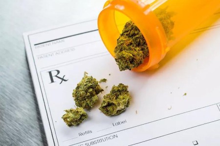 Why Using Cannabis to Manage Pain Isn’t Yet Recommended by Pain Doctors