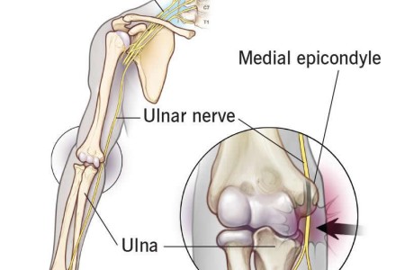 Ulnar Nerve (Funny Bone)