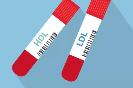 What’s the Difference Between ‘Good’ and ‘Bad’ Cholesterol?