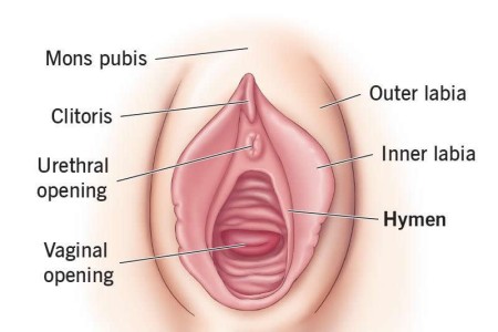 Hymen