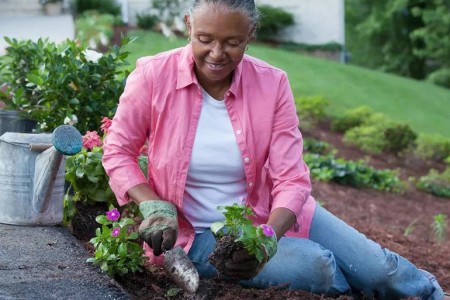 How Gardening Can Improve Your Health