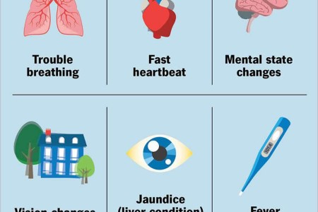 Fat Embolism Syndrome