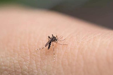 Do You Still Need to Worry About Zika?