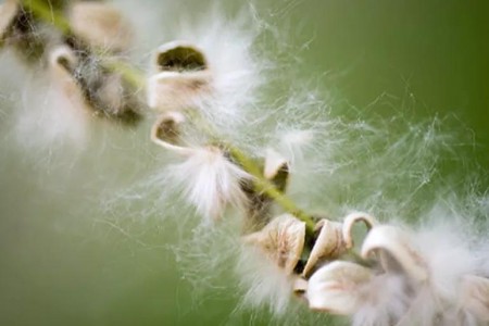 Why Are My Allergies So Bad?