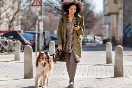 The Health Benefits of Walking