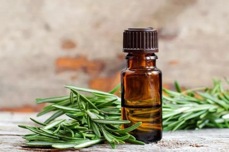 Growth Market: How Rosemary Oil May Help Your Hair