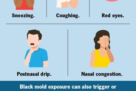 Black Mold