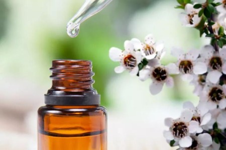 Is Tea Tree Oil Good for Piercings?