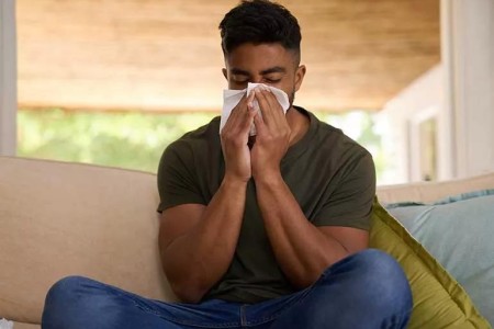 Allergies Don’t Cause a Fever — At Least, Not Directly