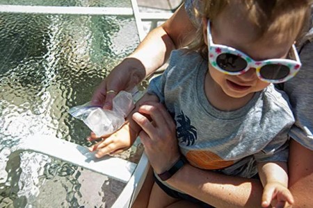 How To Treat Your Child’s Sting or Bite at Home