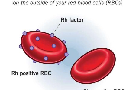 Rh Factor