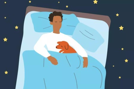 Should You Be Sleeping With Your Pet in Bed?
