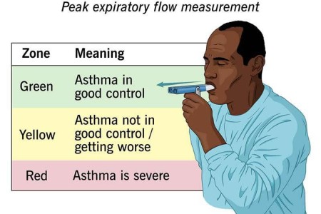 Peak Flow Meter