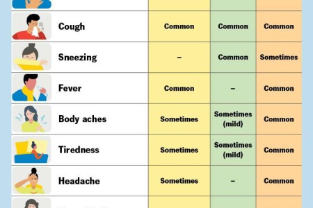 Flu (Influenza)