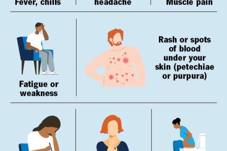 Ebola Virus Disease