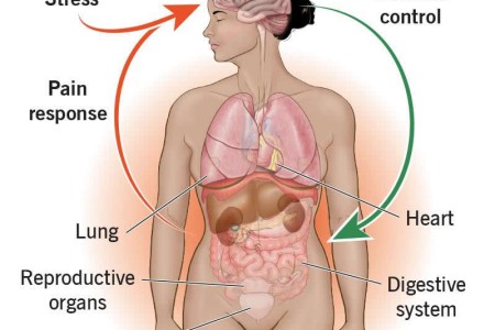 Visceral Hypersensitivity