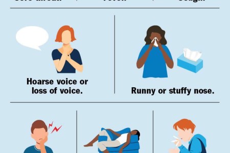 Upper Respiratory Infection (URI)
