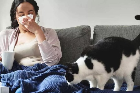 Why Are My Allergies Acting Up in Winter?
