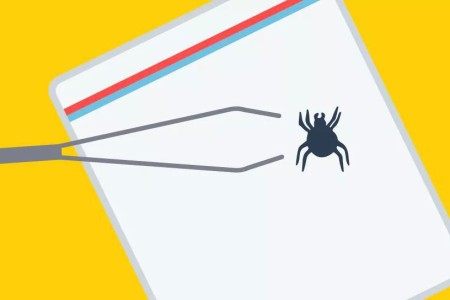 Grab Your Tweezers: Here’s How to Safely Remove a Tick