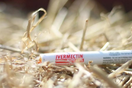 Why You Shouldn’t Take Ivermectin for COVID-19