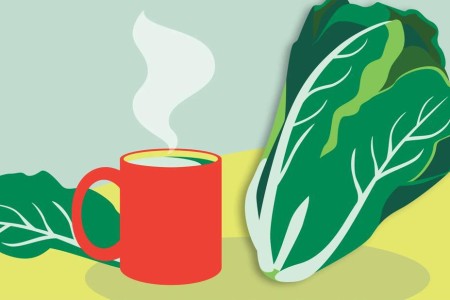 Can Lettuce Water Actually Help You Sleep?