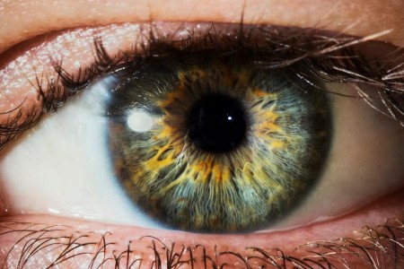 20 Fascinating Facts About Eyes