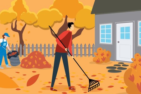 Tips To Avoid Back Pain From Raking Leaves