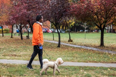 5 Strategies To Increase Insulin Sensitivity