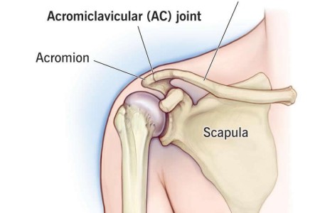 AC Joint (Acromioclavicular Joint)