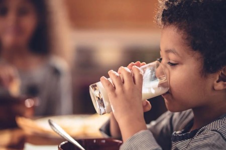 Can Bird Flu Be Passed Through Milk?