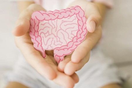 Prebiotics vs. Probiotics: What’s the Difference?