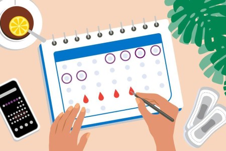 Tracking Your Fertile Window With an Ovulation Calculator