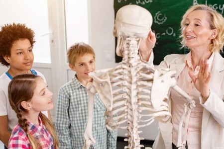 Tickle Your Funny Bone With These 15 Fun Facts About Bones