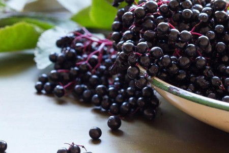 What Elderberries Can (and Can’t) Do for Your Health