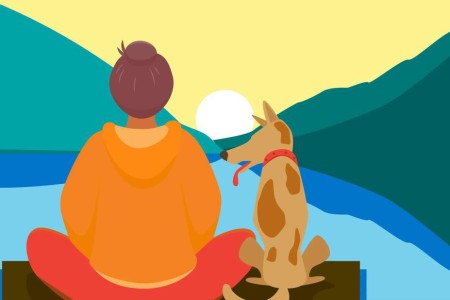 How Can You Improve Your Emotional Intelligence?