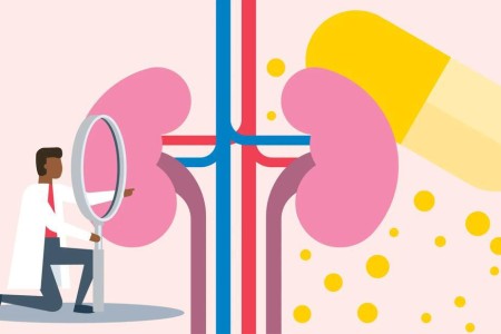 Is Berberine Bad for Kidneys?