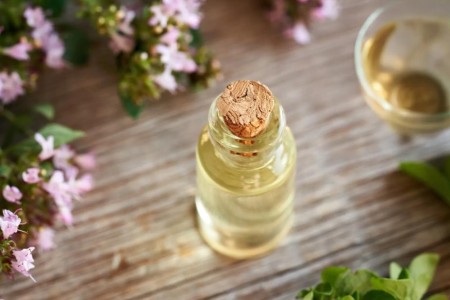 8 Potential Health Benefits of Oregano