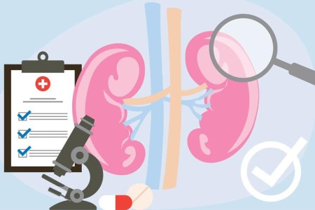Managing Symptoms and Slowing the Progression of IgA Nephropathy and C3G