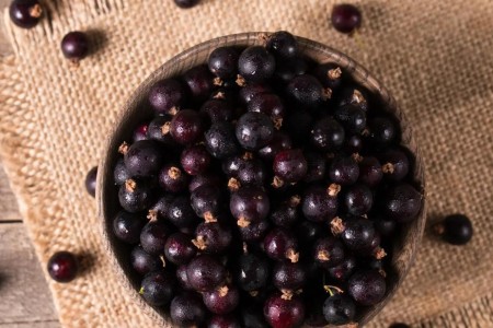 4 Reasons Acai Berries Are Good for You