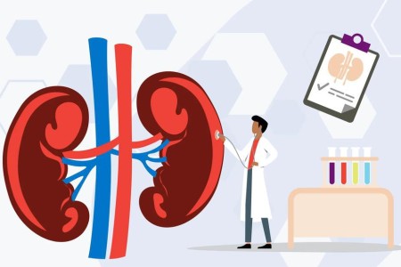 Diagnosed With IgAN or C3G? Here’s What To Expect